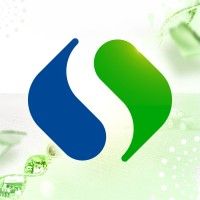 Grupo Sinova