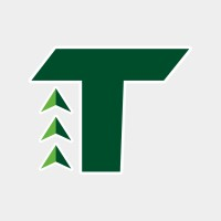 Terris Tecnologia