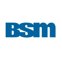 BSM Engenharia