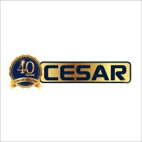 Grupo Cesar