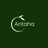 Antaha