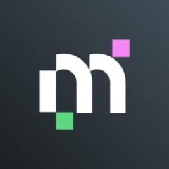 Magnetis