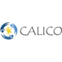 CALICO: Child Abuse Listening, Interviewing and Coordination Center