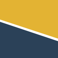 Globalsoft Solutions LLC