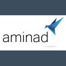 Aminad Consulting