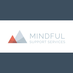 Mindful Support Services