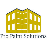 Pro Paint Solutions